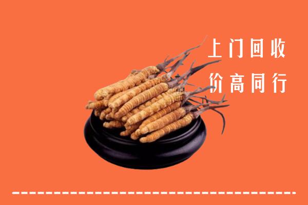 高价求购：庄河市回收散虫草