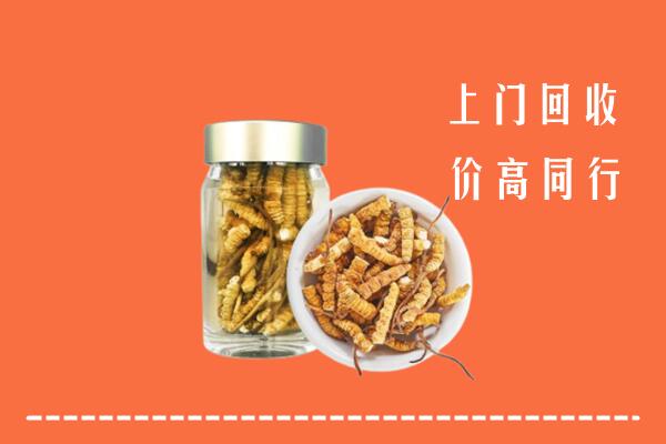 庄河市回收冬虫夏草