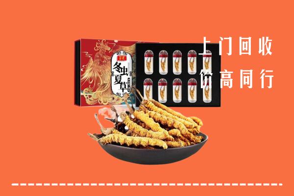 庄河市回收虫草